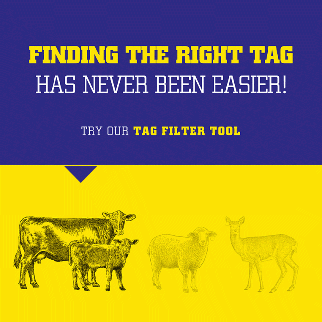 4179ZT20-TAG-FILTER-TOOL-ANIMATED-BANNER-OCT23-MOBILE