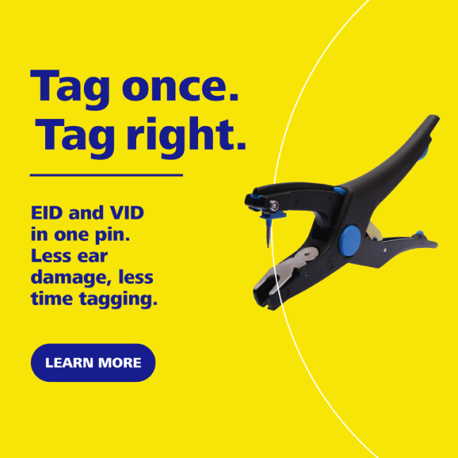 Ztags UK banner mobile banner Oct26.